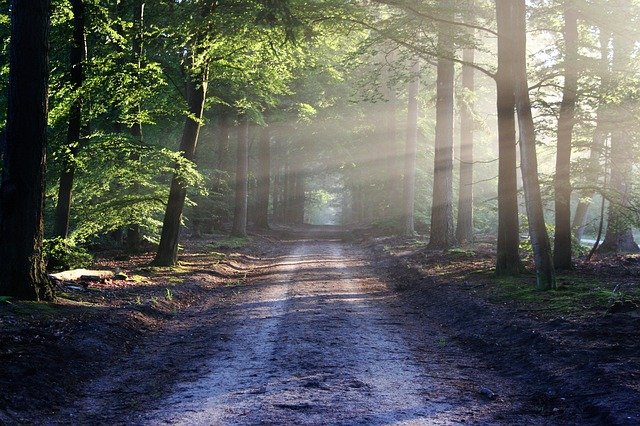 Silenzio ed empatia: necessari nella nostra società. Esempio e caso clinico.